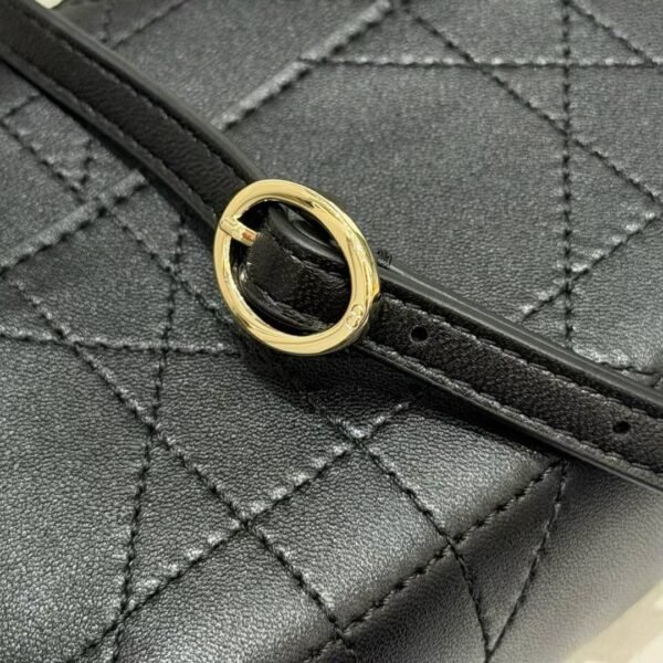 Dior Trianon Soft Vanity Mini Bag
