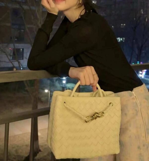 Bottega Veneta Small Andiamo
