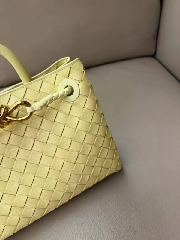 Bottega Veneta Small Andiamo