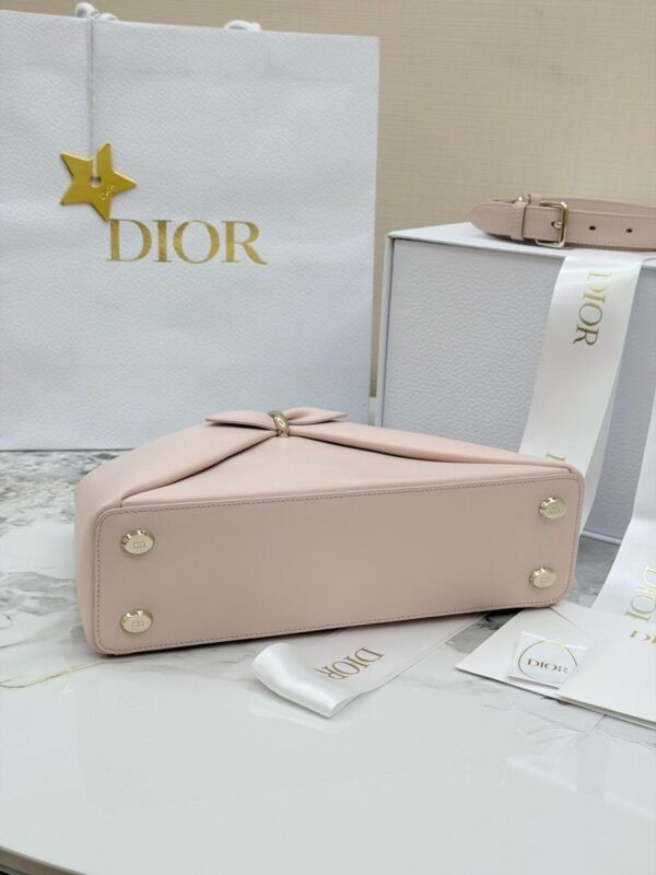 Dior Cigale Bag