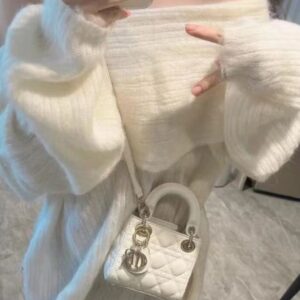 LADY DIOR BAG