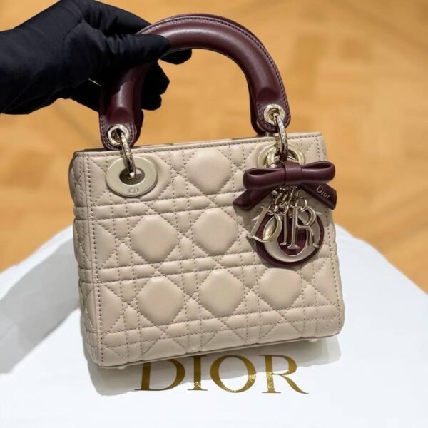 Mini Lady Dior Bag with Chain