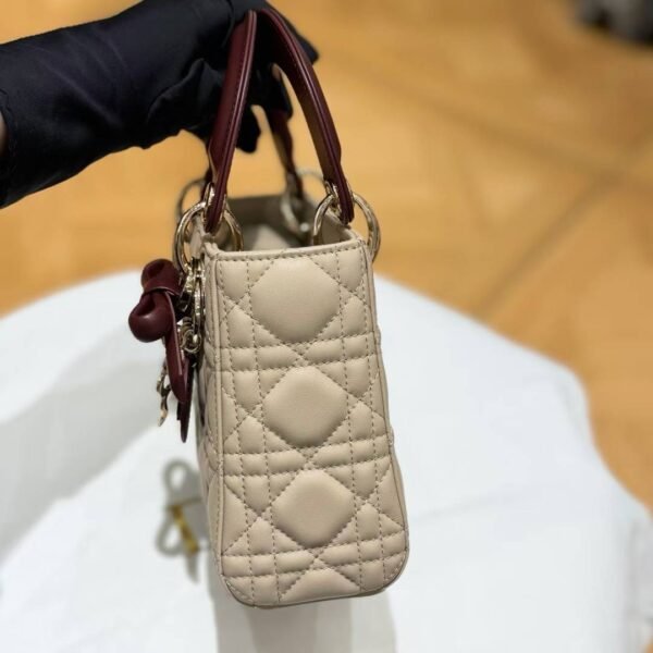 Mini Lady Dior Bag with Chain