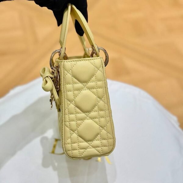 Mini Lady Dior Bag with Chain