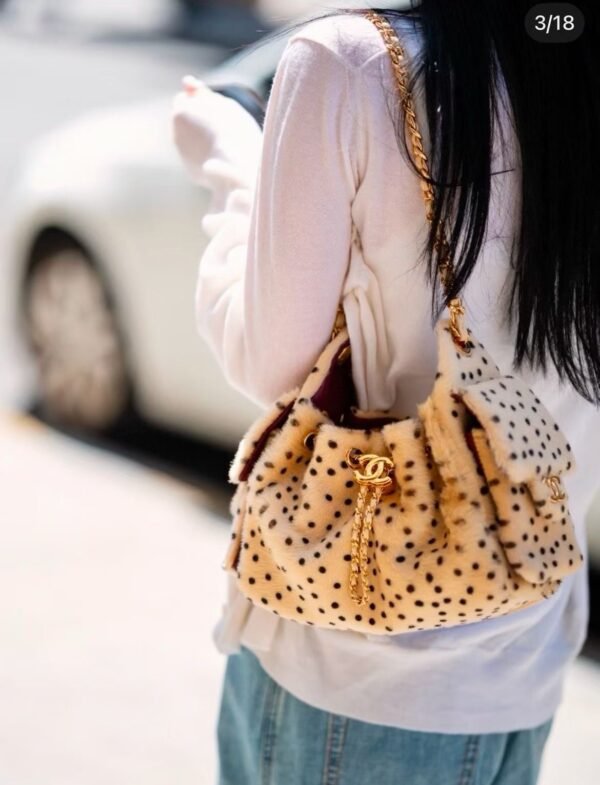 CHANEL 25 Mini Handbag