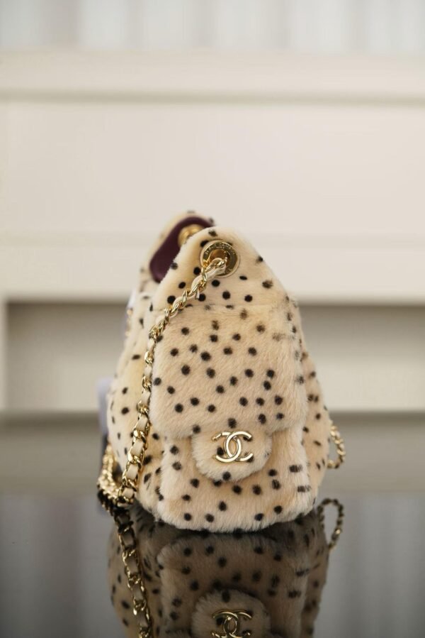 CHANEL 25 Mini Handbag