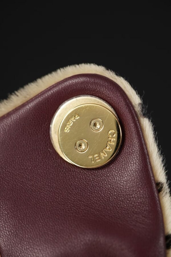 CHANEL 25 Mini Handbag
