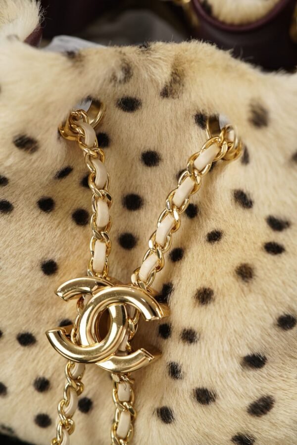 CHANEL 25 Mini Handbag