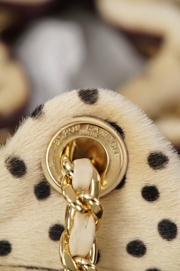 CHANEL 25 Mini Handbag