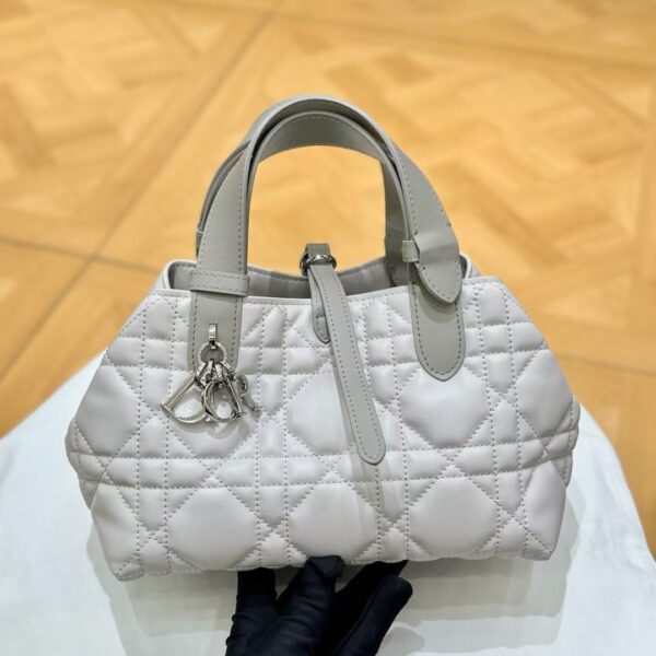 Small Dior Toujours Bag