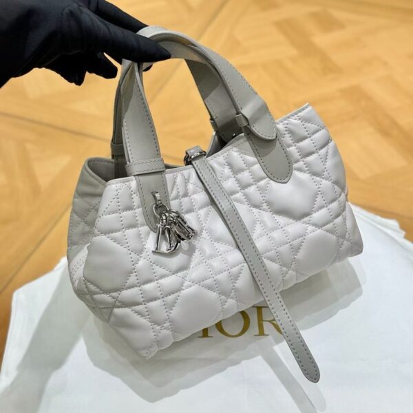 Small Dior Toujours Bag