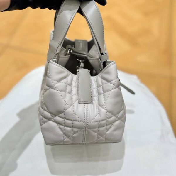 Small Dior Toujours Bag