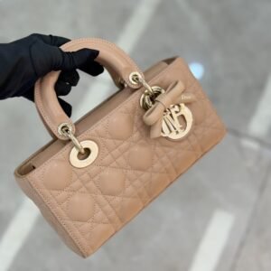 DIOR Small Lady D-Joy Bag