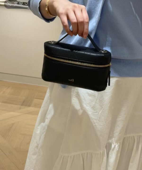 Dior Trianon Soft Vanity Mini Bag