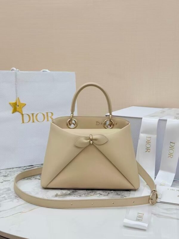Dior Cigale Bag