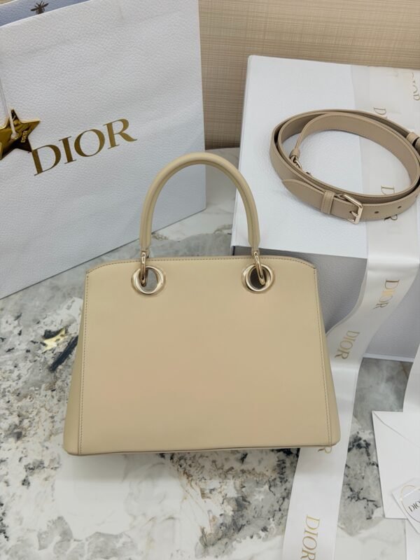 Dior Cigale Bag