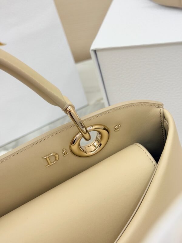 Dior Cigale Bag