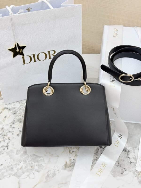 Dior Cigale Bag