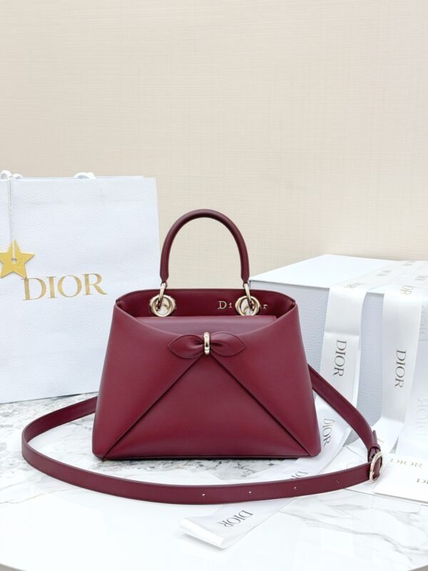 Dior Cigale Bag