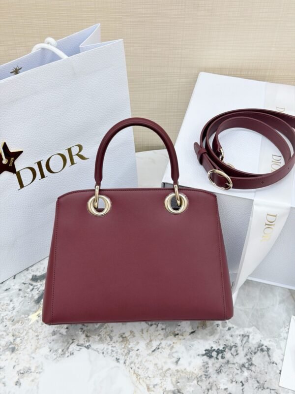Dior Cigale Bag
