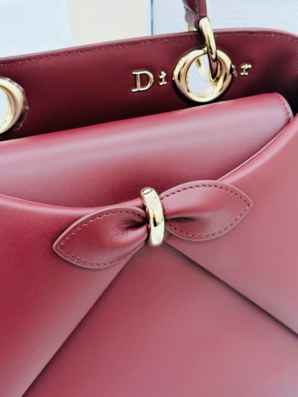 Dior Cigale Bag
