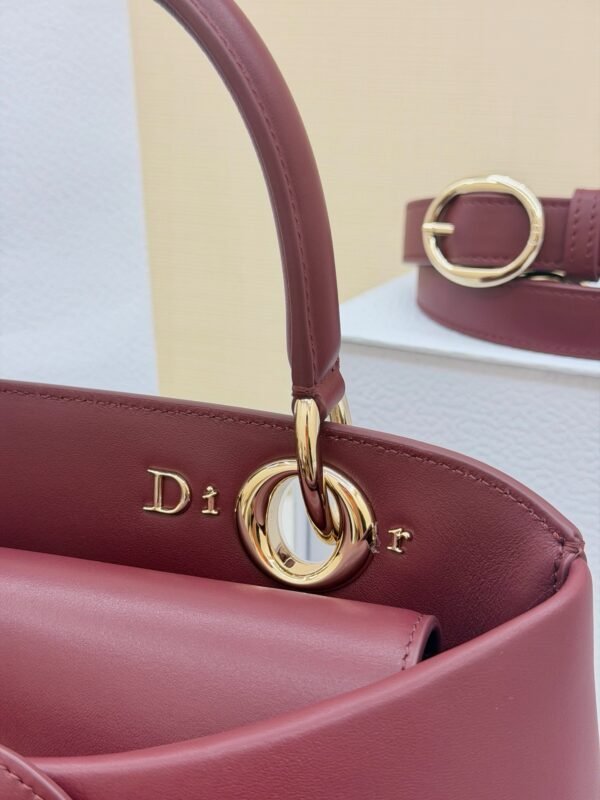 Dior Cigale Bag