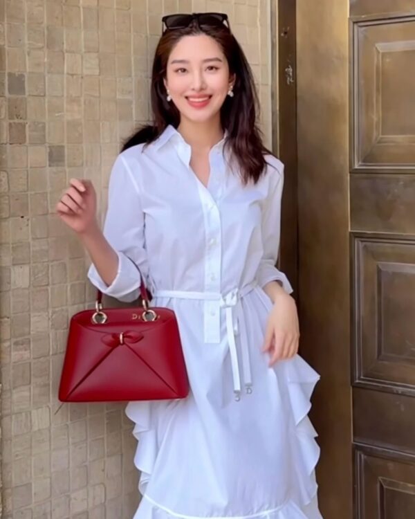 Dior Cigale Bag