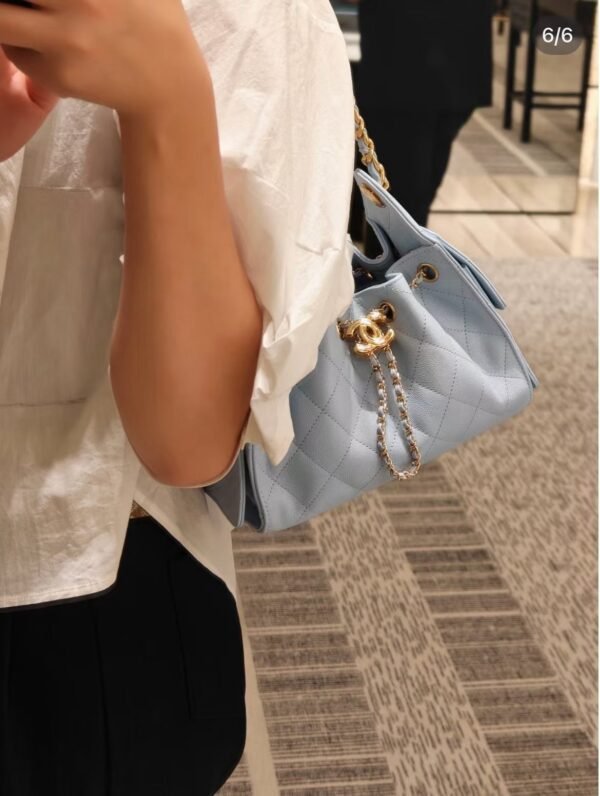 CHANEL 25 Mini Handbag
