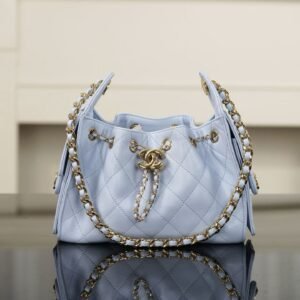 CHANEL 25 Mini Handbag