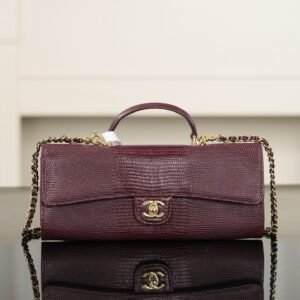 CHANEL Clutch with chain