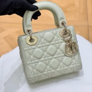 Mini Lady Dior Bag with Chain