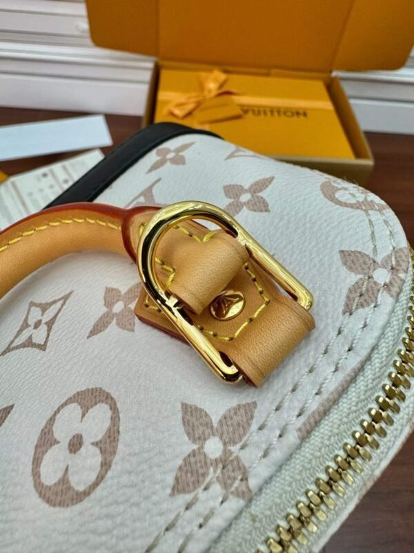 LOUIS VUITTON M46895 ALMA NANO BAG