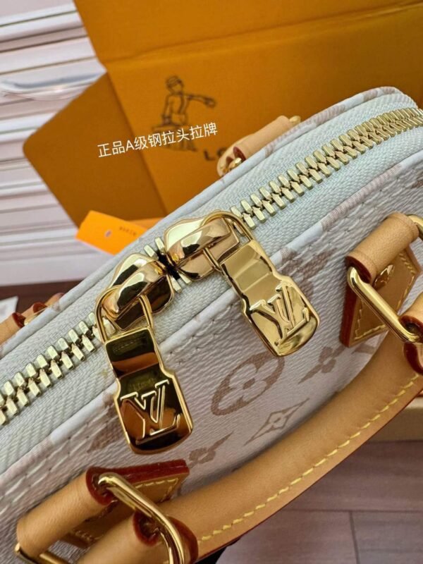 LOUIS VUITTON M46895 ALMA NANO BAG