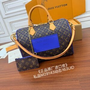 LOUIS VUITTON Speedy Soft 30 Bag M29143