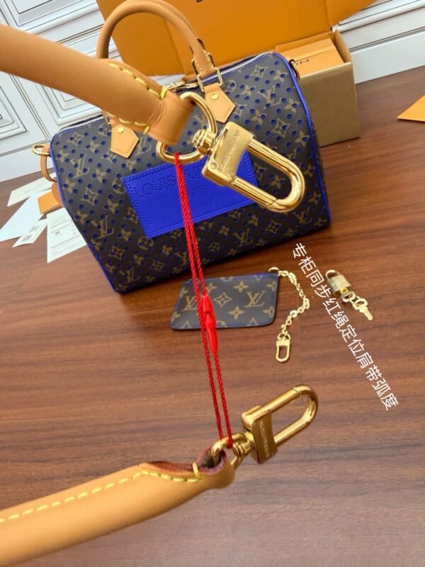 LOUIS VUITTON Speedy Soft 30 Bag M29143