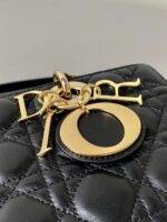 DIOR D-Joy Bag Lambskin - Image 6