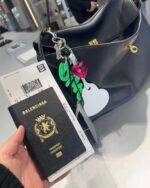 Balenciaga Air ticket PASSPORT purse