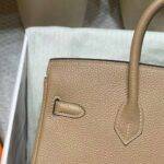 HERMES BIRKIN 25BAG 0M colour - Image 4