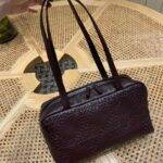 THE ROW  ASTRA BAG