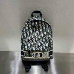 Small DiorTravel Backpack