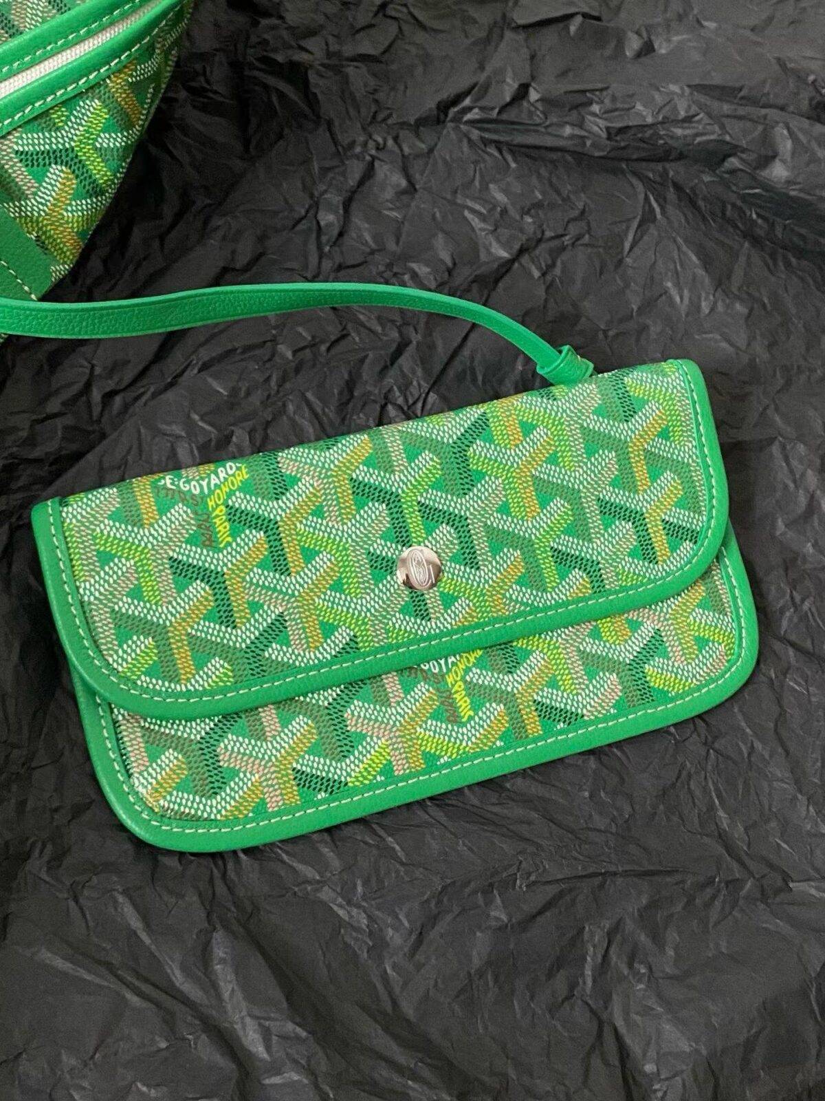 GOYARD Saint Louis PM bag multicolored - Image 5